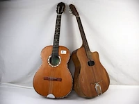 Gitaar (x2) - afbeelding 1 van  5