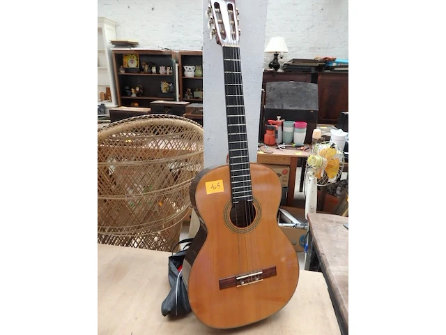 Gitaar - afbeelding 1 van  1