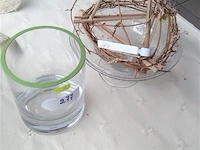 Glas 2stuks - afbeelding 1 van  2