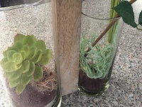 Glas + decoratie - afbeelding 2 van  2