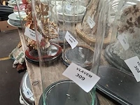 Glazen stolp - afbeelding 1 van  1