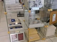 Glazenschabben met zilveren kaders - afbeelding 3 van  6