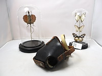 Globes met opgezette dieren (x2)