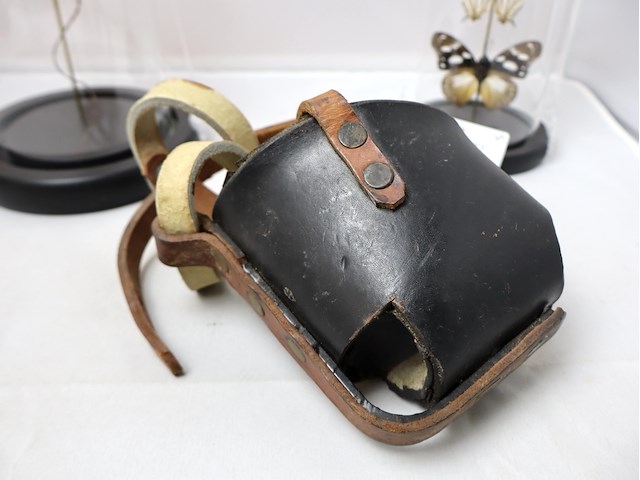 Globes met opgezette dieren (x2) - afbeelding 4 van  4