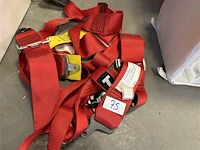 Gordels rood - afbeelding 1 van  2