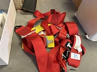 Gordels rood - afbeelding 2 van  2