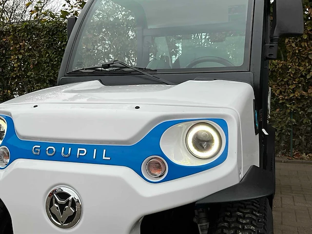 Goupil g2 pick up loodzuur - afbeelding 3 van  22