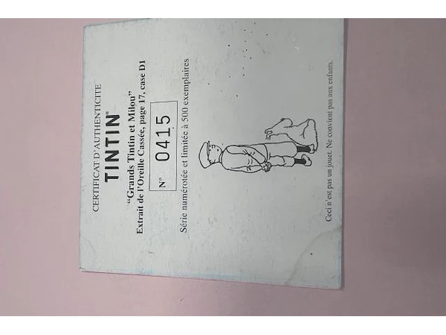 Grand tintin et milou 2001 - afbeelding 10 van  10