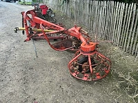 Grashark - afbeelding 2 van  6