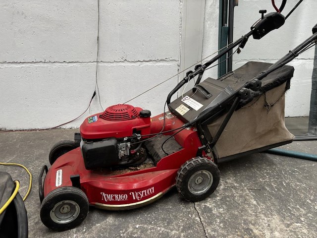 Grasmachine amerigo vespucci - afbeelding 2 van  6