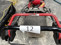 Grasmachine amerigo vespucci - afbeelding 5 van  6