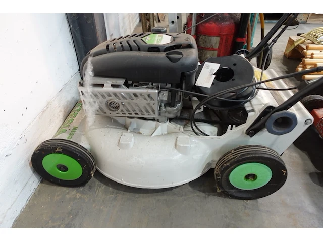 Grasmachine etesia - afbeelding 2 van  4