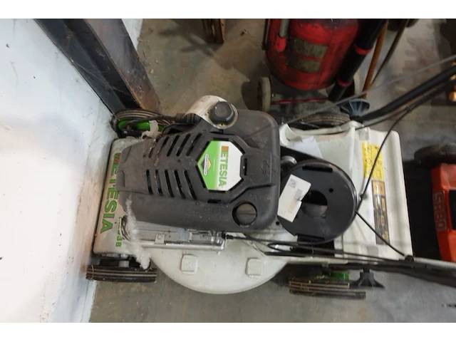 Grasmachine etesia - afbeelding 3 van  4