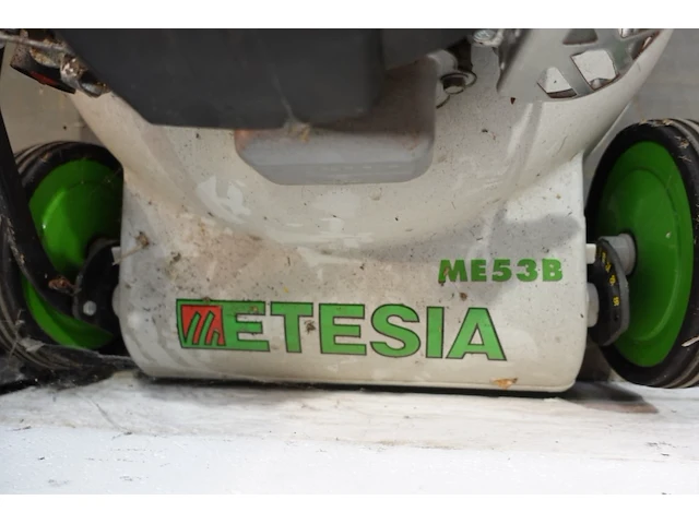Grasmachine etesia - afbeelding 4 van  4