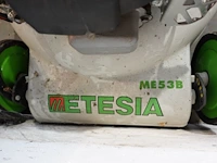 Grasmachine etesia - afbeelding 4 van  4