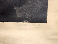 Gravures (x2) - afbeelding 7 van  7