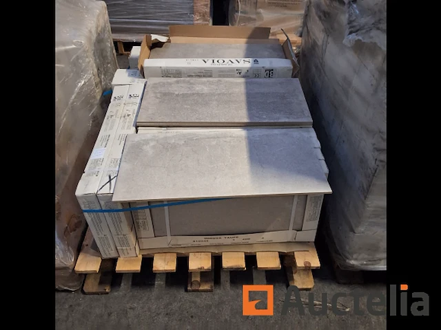 Gres fine porcellanato 30 x 60 keramische tegels 21m2 - afbeelding 2 van  6