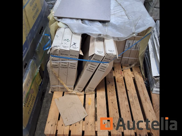 Gres porcellanato 45 x 45 italië keramische tegels 19,84 m2 - afbeelding 1 van  5