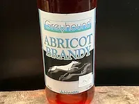 Greyhound abricot brandy liqueur (6x) - afbeelding 2 van  3