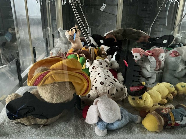 Grijpspel machine - afbeelding 17 van  18