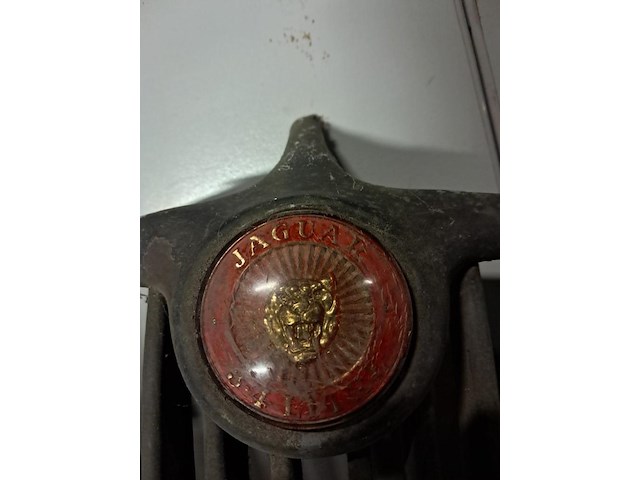Grill van jaguar wagen radiator - afbeelding 2 van  5