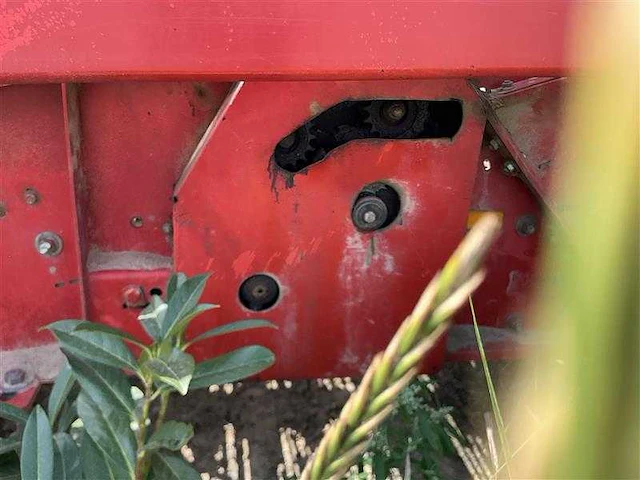 Grimme gz 1700 dls aardappelrooier - afbeelding 22 van  24