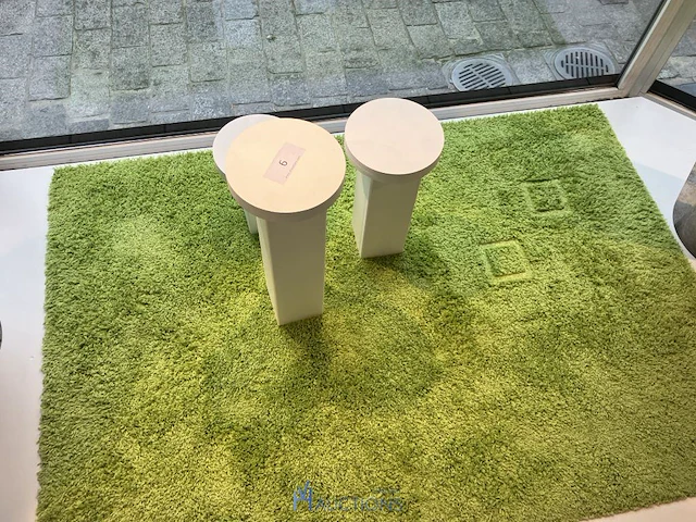 Groen tapijt - afbeelding 3 van  4