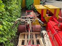 Grondwals - afbeelding 6 van  8