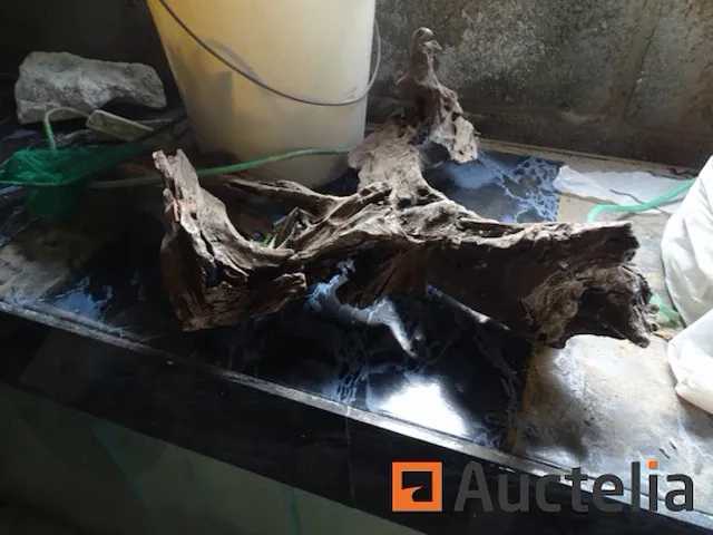 Groot aquarium met metaal standaard met filtersysteem, verschillend onderhoud accessoires voor aquarium - afbeelding 7 van  13