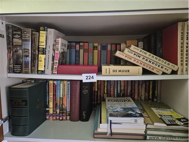 Groot lot boeken volgens foto - afbeelding 1 van  4