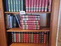 Groot lot boeken - afbeelding 1 van  4