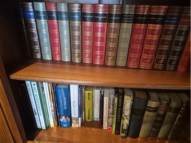 Groot lot boeken - afbeelding 2 van  4