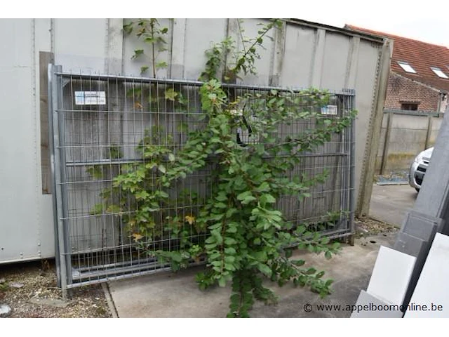 Groot lot hekwerk plus voeten - afbeelding 4 van  5