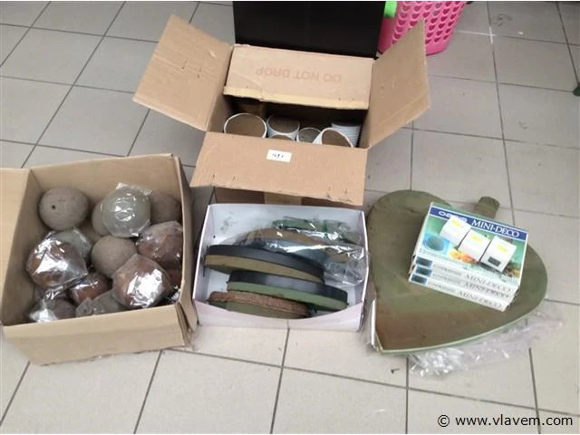 Groot lot oasis - afbeelding 1 van  4