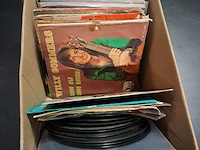 Groot lot single's - afbeelding 1 van  8