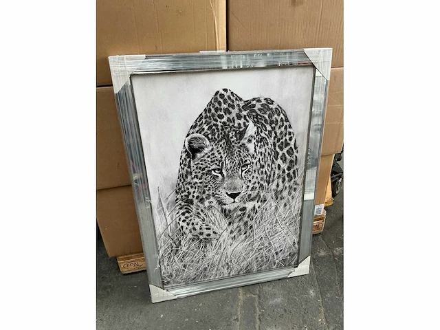 Grote decoratieve kaders (19x) - afbeelding 9 van  12