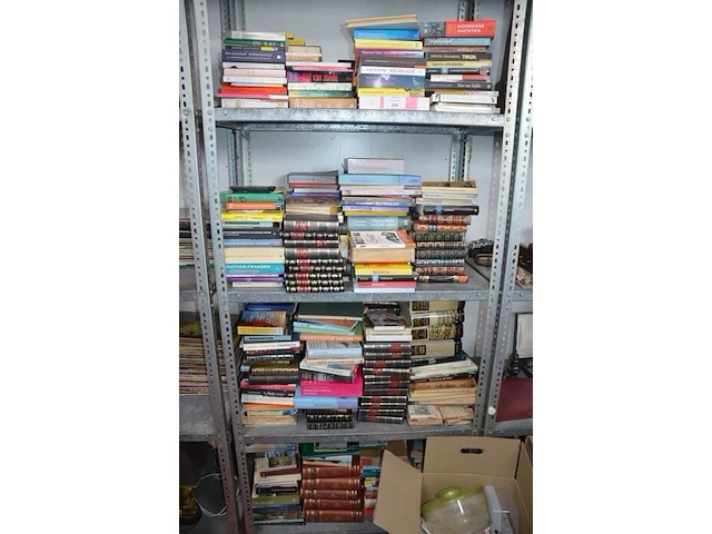 Grote partij boeken - afbeelding 1 van  5