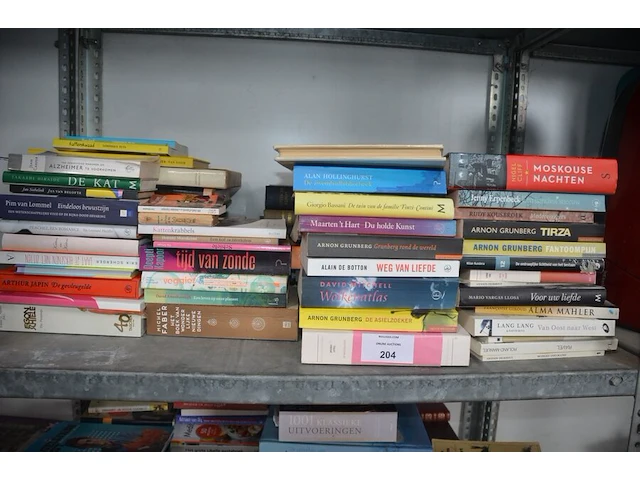 Grote partij boeken - afbeelding 2 van  5