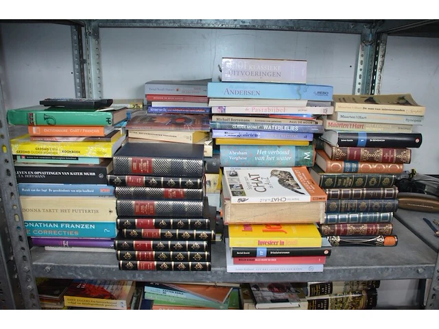 Grote partij boeken - afbeelding 3 van  5