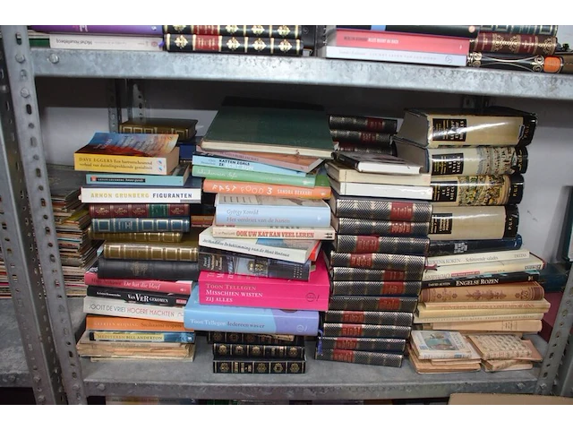 Grote partij boeken - afbeelding 4 van  5