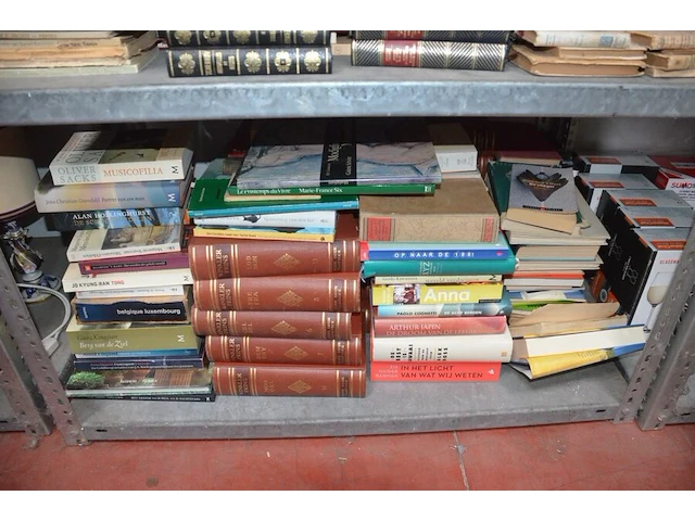 Grote partij boeken - afbeelding 5 van  5
