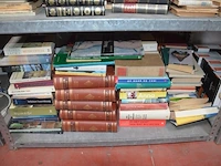 Grote partij boeken - afbeelding 5 van  5