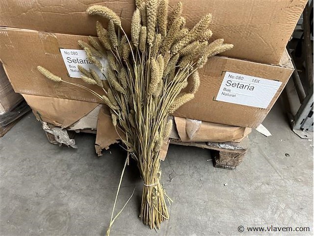 Grote partij decoratie bos naturel, (zonder pallet) - afbeelding 1 van  2