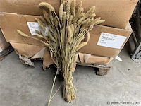 Grote partij decoratie bos naturel, (zonder pallet) - afbeelding 1 van  2