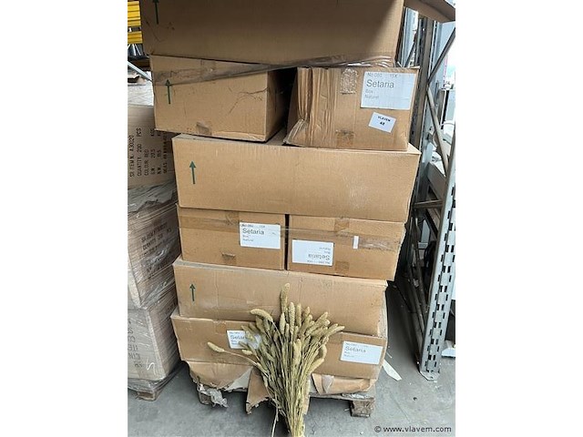 Grote partij decoratie bos naturel, (zonder pallet) - afbeelding 2 van  2