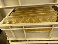 Grote partij div kunstoffen chocolade mallen (zonder bakken) - afbeelding 18 van  23