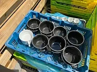 Grote partij diverse glaasjes, borden, tassen - afbeelding 15 van  27