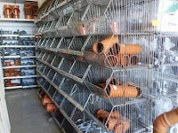 Grote partij diverse pvc - afbeelding 34 van  51