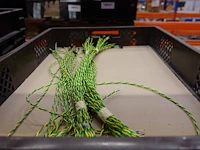 Grote partij grijpbakken elektrische kabels - afbeelding 24 van  31