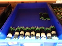 Grote partij grijpbakken elektrische kabels - afbeelding 28 van  31